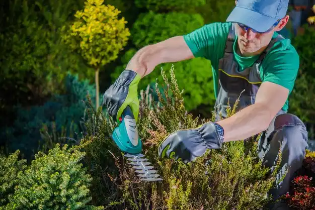 landscaping services Edwardsburg